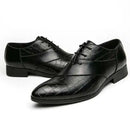 Pantofi Eleganți Bărbați Formal Style